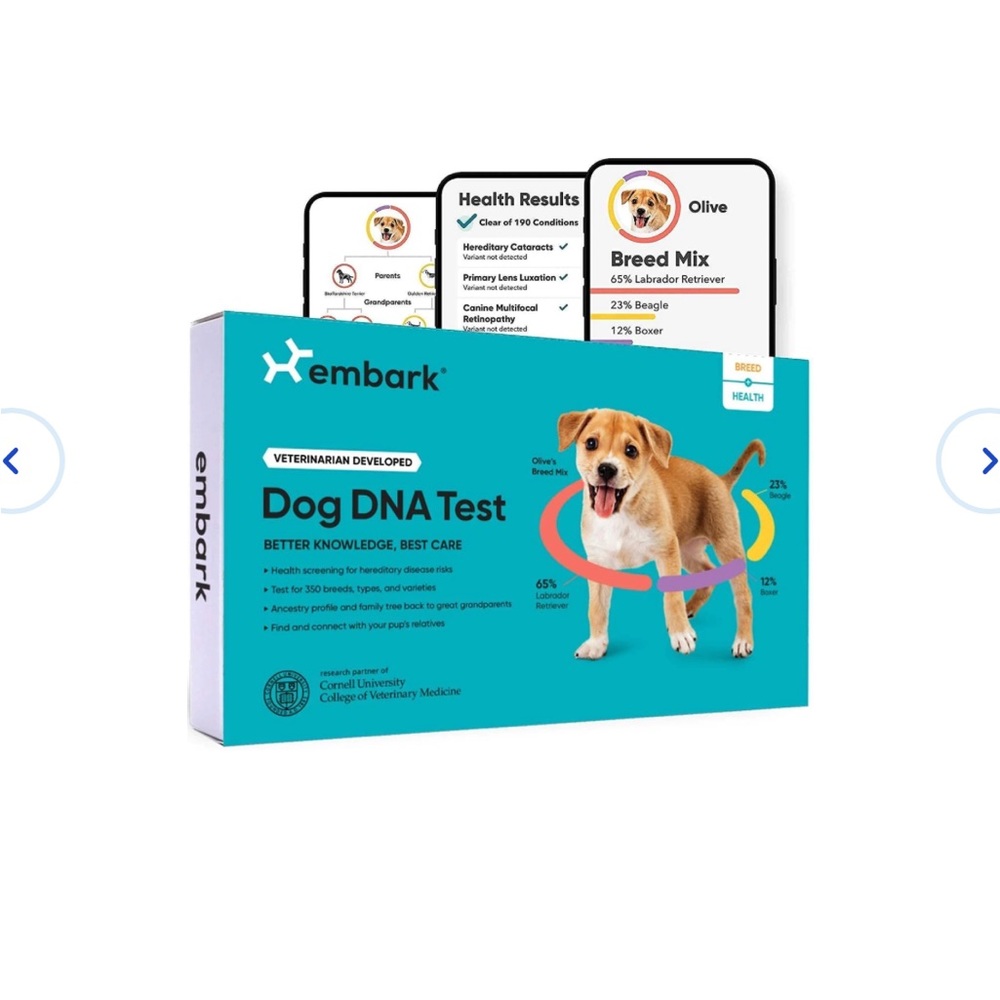 Embark Breed Identification & Health Condition Identification DNA Test for Dogs
